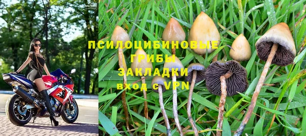 герыч Алзамай
