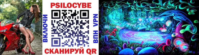Псилоцибиновые грибы Psilocybe  KRAKEN как войти  Почеп 